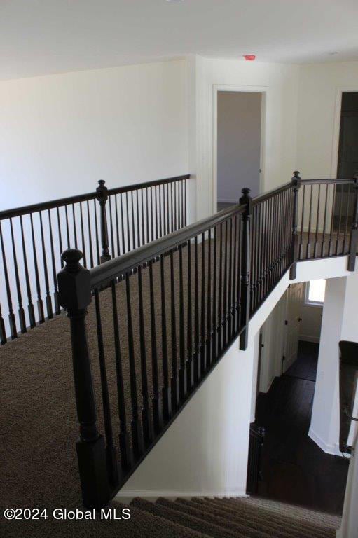 stairway with carpet flooring