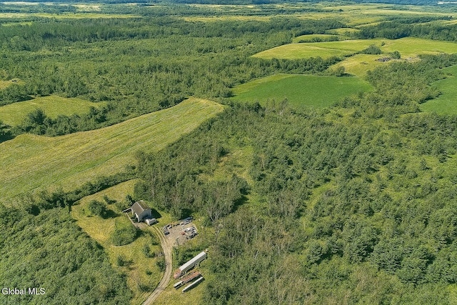1779 State Route 196, Kingsbury, NY 12839 - photo 1