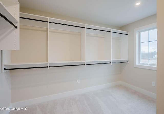 spacious closet with carpet floors