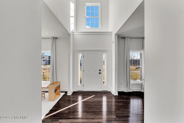 foyer featuring dark hardwood / wood-style floors, a healthy amount of sunlight, and a towering ceiling