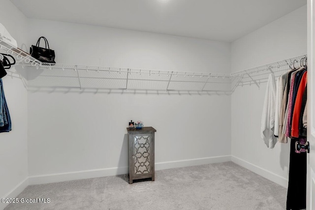 spacious closet with carpet floors