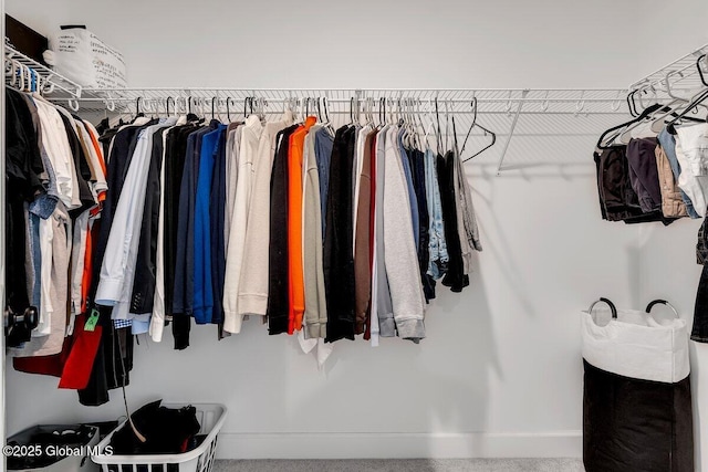 spacious closet with carpet