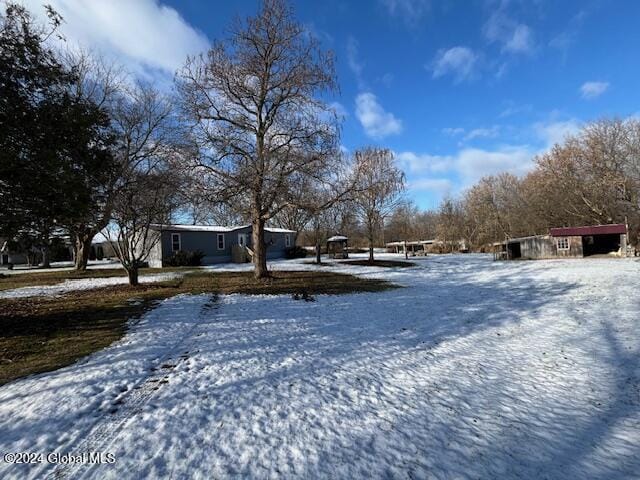 view of yard covered in snow