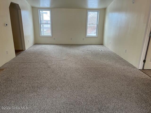 carpeted empty room with plenty of natural light