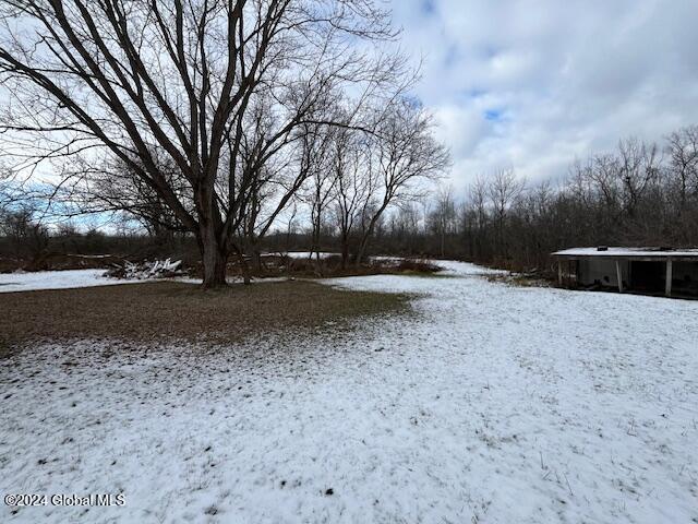 view of yard covered in snow