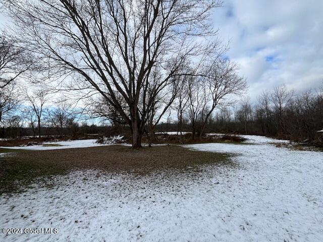 view of yard covered in snow