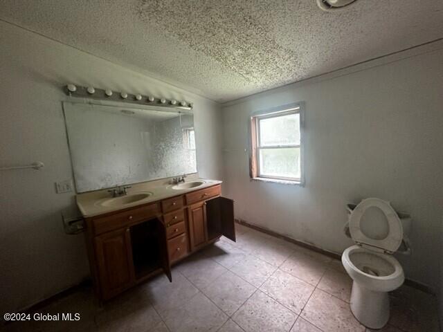 bathroom featuring vaulted ceiling, vanity, a textured ceiling, and toilet