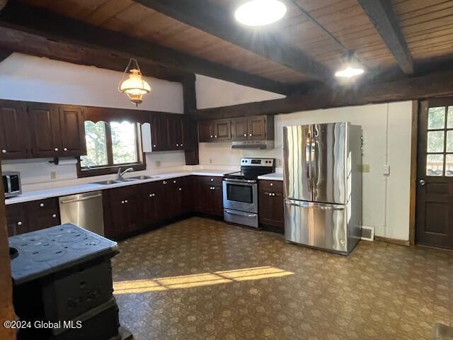 kitchen with a wealth of natural light, dark brown cabinets, sink, and appliances with stainless steel finishes