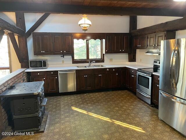 kitchen with exhaust hood, stainless steel appliances, a healthy amount of sunlight, and sink