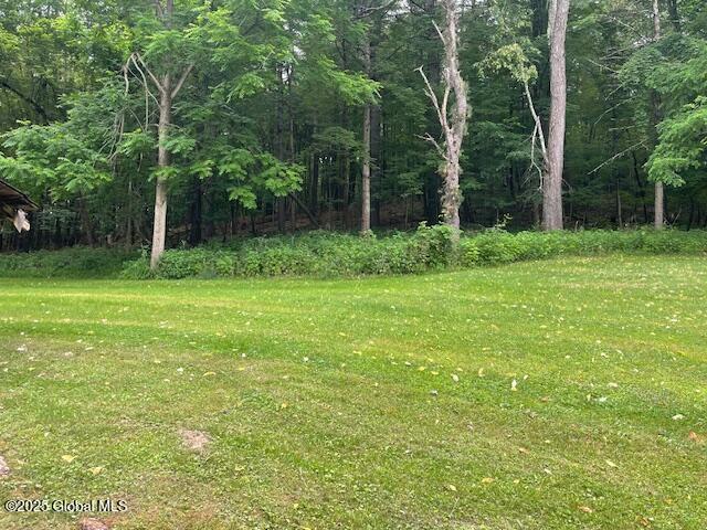 57 Lake Shore Dr, Pittstown, NY 12180 - photo 93