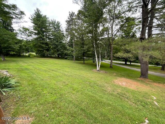 57 Lake Shore Dr, Pittstown, NY 12180 - photo 98