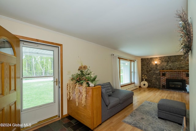 living room featuring a fireplace, hardwood / wood-style floors, a wealth of natural light, and a baseboard heating unit