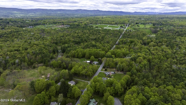 drone / aerial view featuring a mountain view