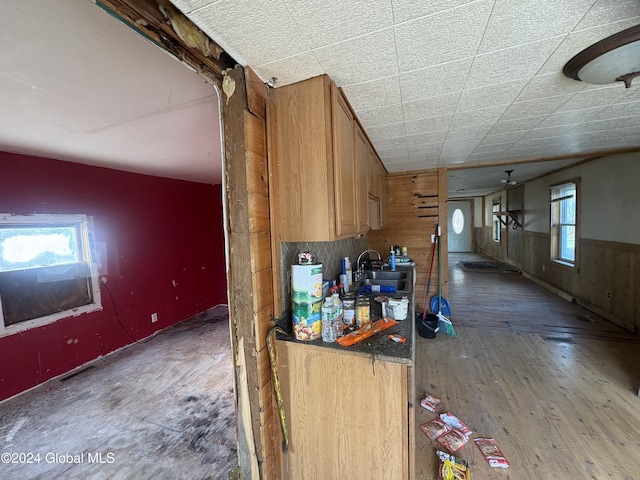 kitchen featuring ceiling fan, plenty of natural light, dark hardwood / wood-style floors, and sink