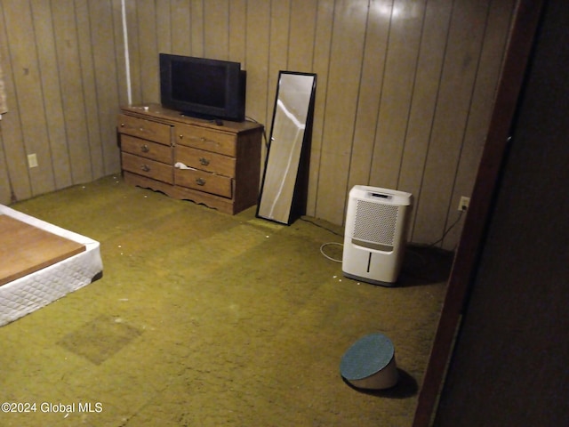 basement featuring wooden walls