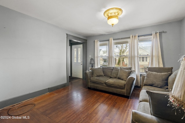 living room featuring dark wood-type flooring