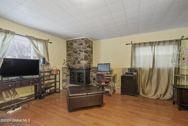 living room with a stone fireplace and wood-type flooring