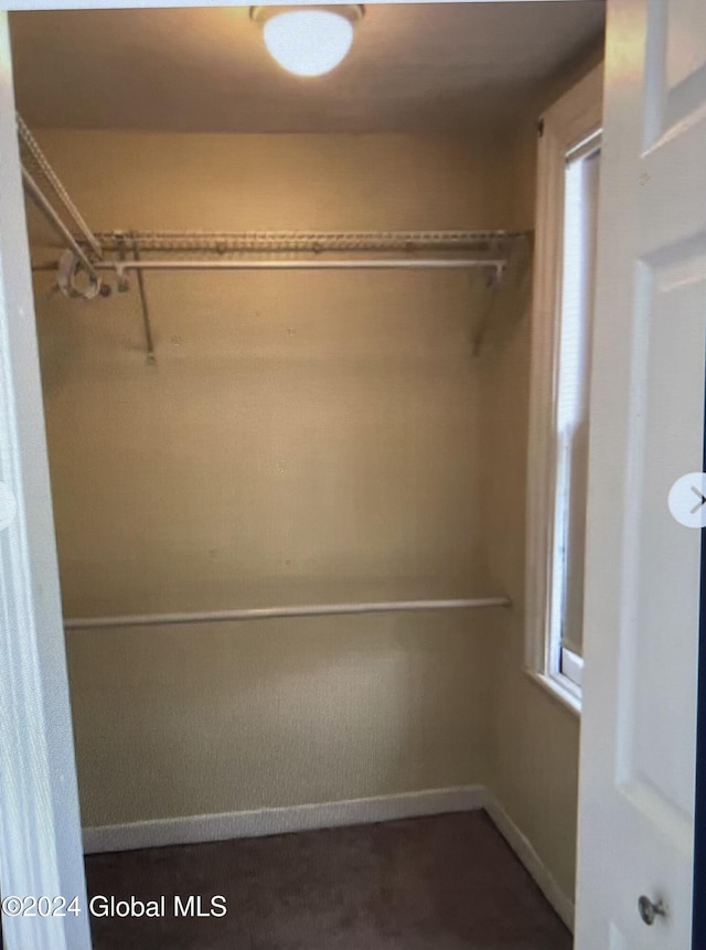 spacious closet with carpet