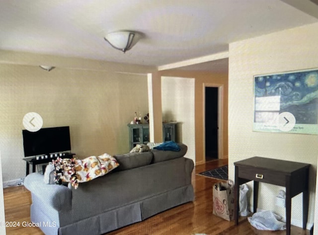 living room featuring wood-type flooring