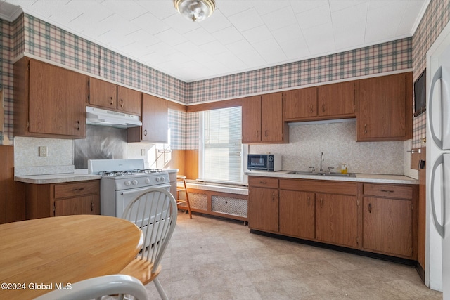 kitchen with white gas stove and sink