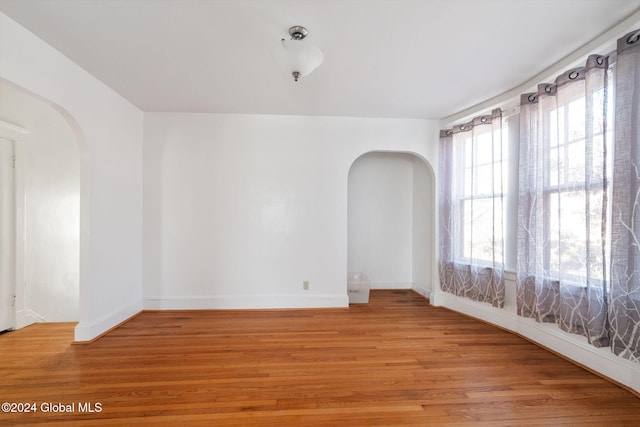 empty room featuring plenty of natural light and light wood-type flooring