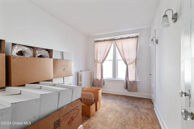 clothes washing area with radiator heating unit and light carpet