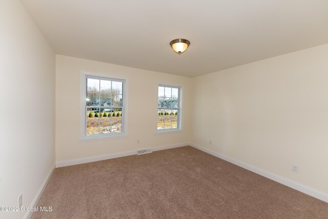 unfurnished room with carpet