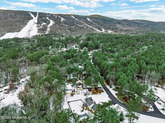 view of mountain feature