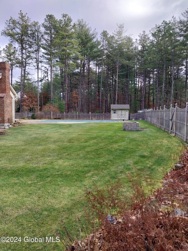 view of yard with a storage shed