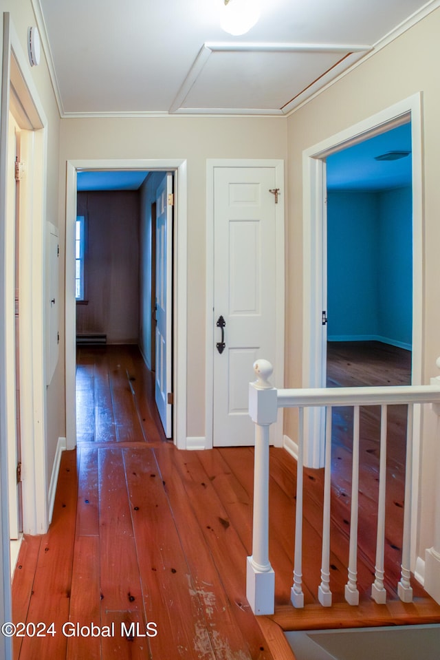 hall featuring dark wood-type flooring and a baseboard radiator