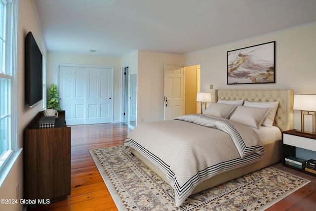 bedroom with wood-type flooring and a closet