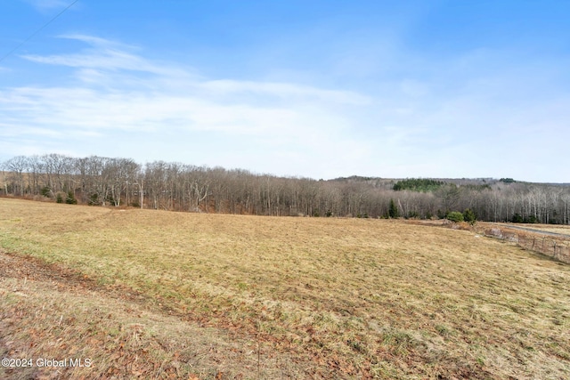 Listing photo 3 for L36 County Route 358, Rensselaerville NY 12147