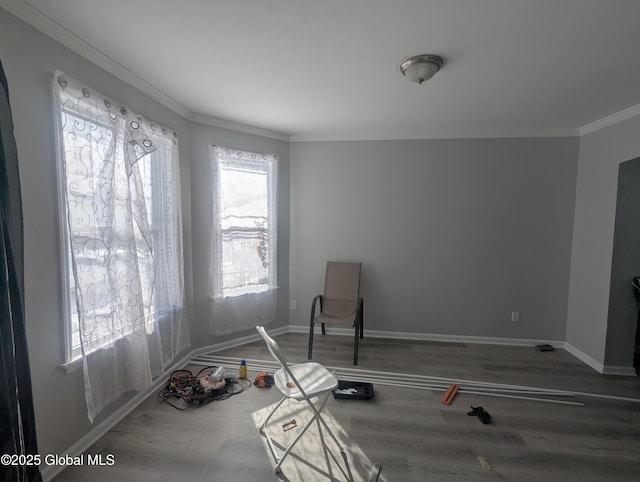 interior space with crown molding and wood-type flooring