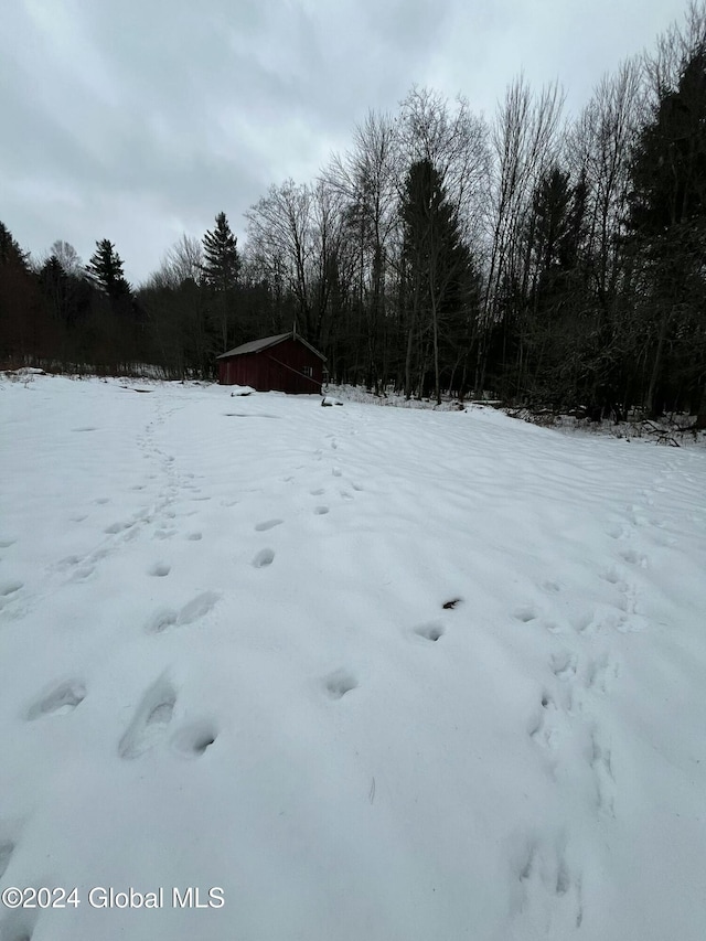 view of snowy yard