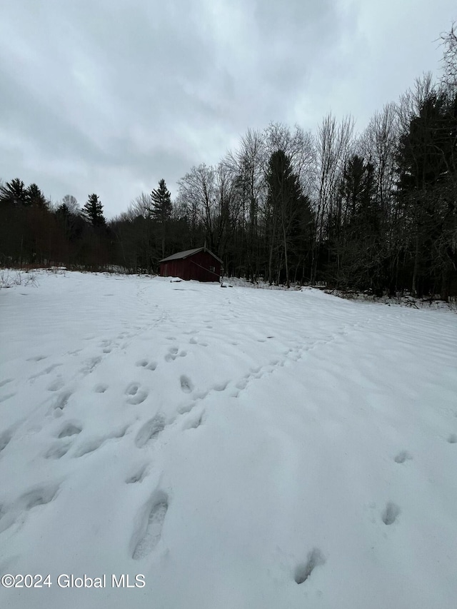 view of yard covered in snow