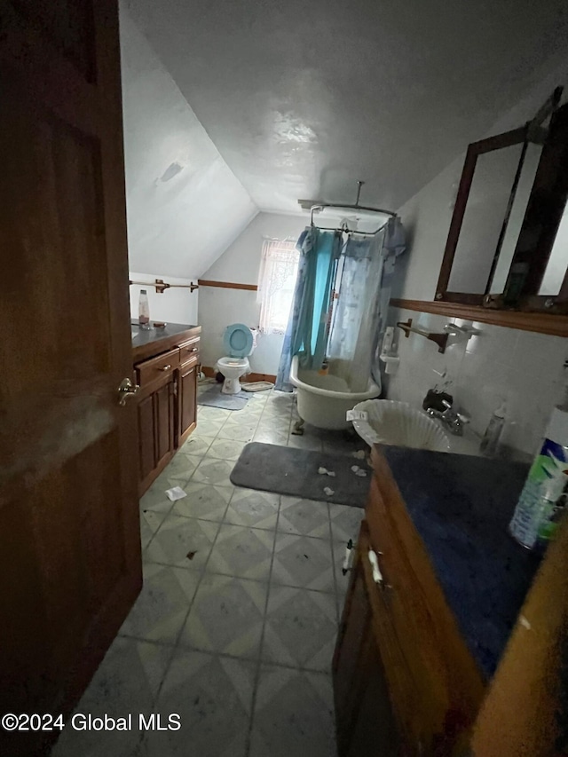 bathroom with vanity, lofted ceiling, and toilet