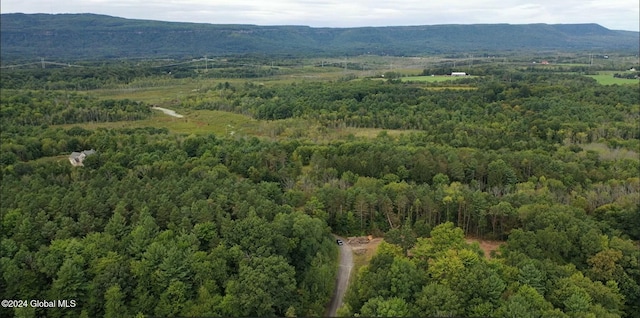 4 Jani Ln, Guilderland NY, 12186 land for sale