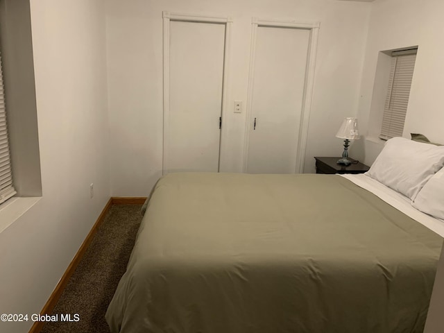 carpeted bedroom with two closets