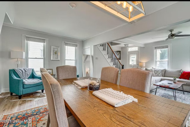 dining area featuring crown molding, a wealth of natural light, wood-type flooring, and ceiling fan