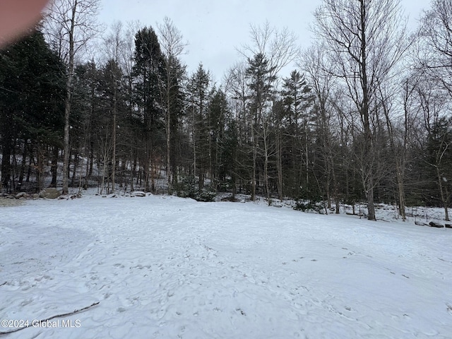 view of yard covered in snow