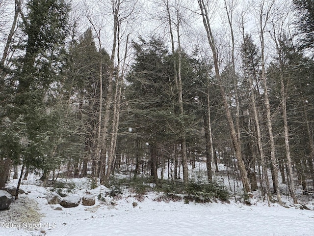 view of snowy landscape