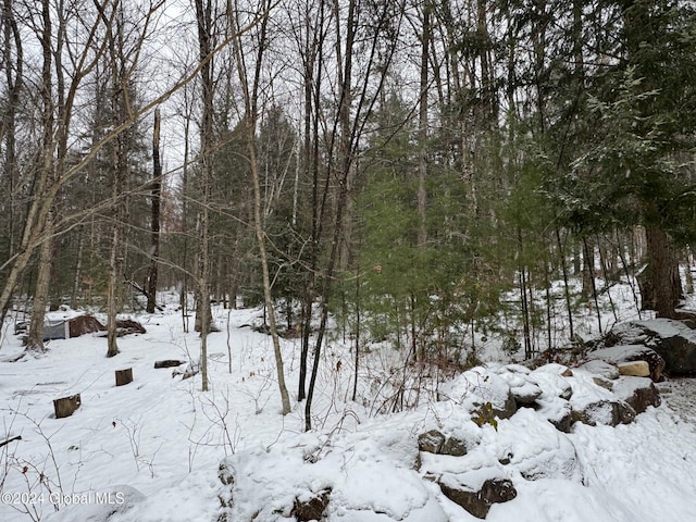 view of snowy landscape