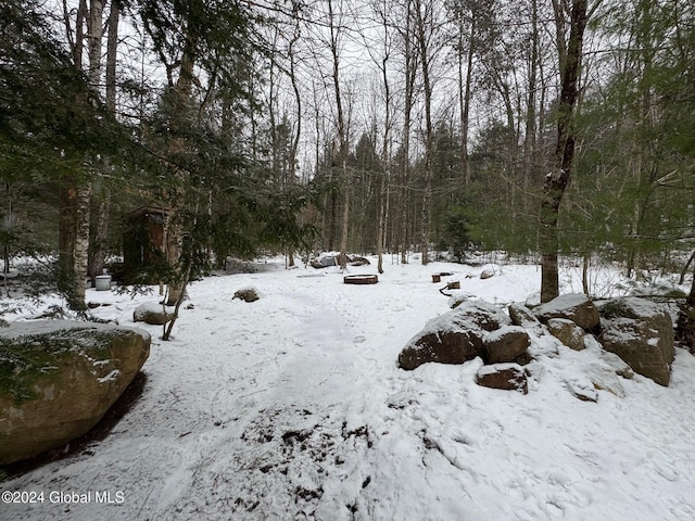 view of snowy landscape