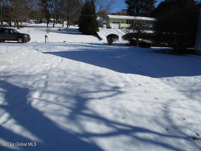 view of yard covered in snow