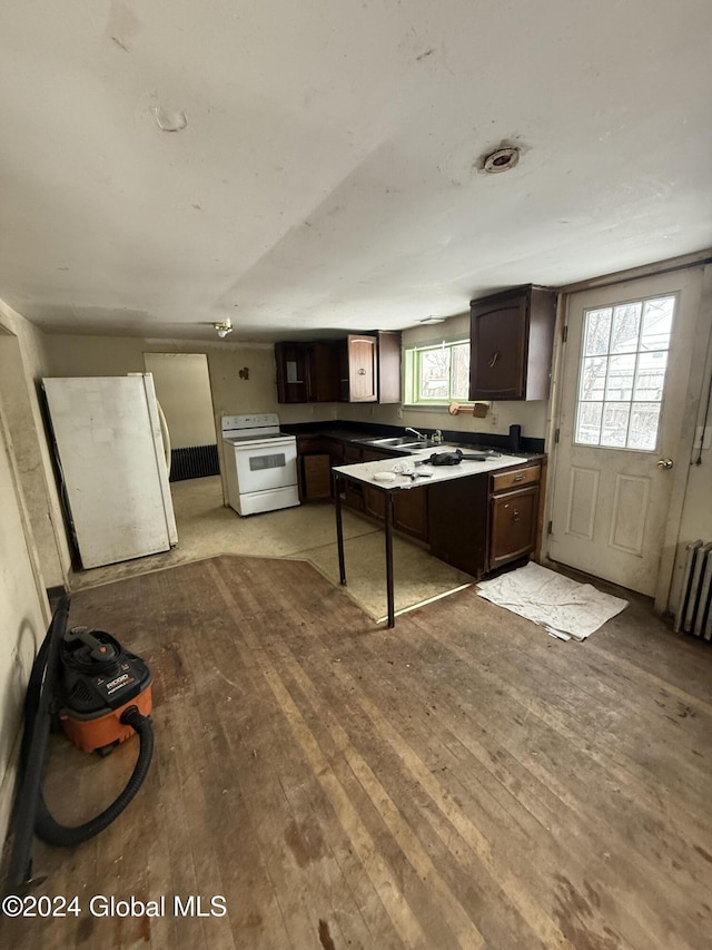 kitchen with white appliances, light hardwood / wood-style floors, dark brown cabinetry, and a healthy amount of sunlight