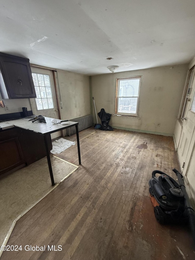 interior space featuring plenty of natural light, light hardwood / wood-style floors, and radiator heating unit