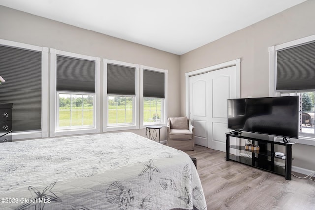 bedroom featuring a closet and light wood-type flooring