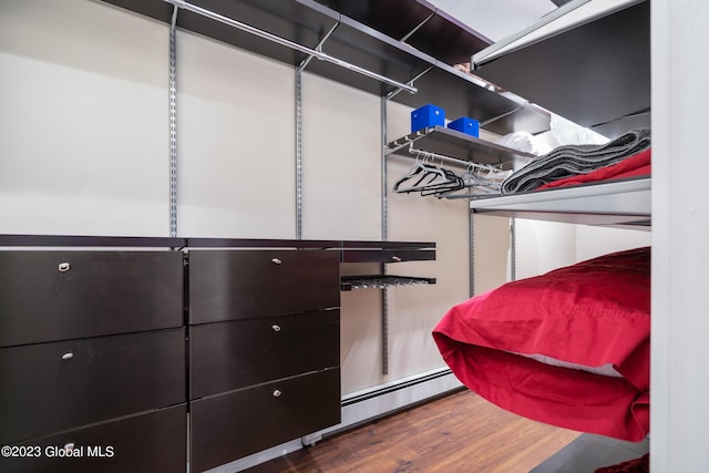 walk in closet featuring dark hardwood / wood-style floors and a baseboard radiator