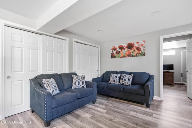 living room featuring hardwood / wood-style floors