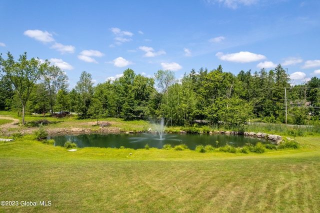 view of community featuring a lawn and a water view